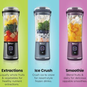 Mini Rechargeable Juicer